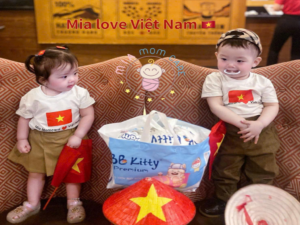 bb kitty premium baby diaper prevent leakage-baby show in Vietnam